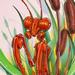 Art Galleries - Mechanical Mantis - 55708